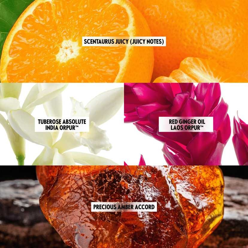 Set complet pentru Ea, parfum de femei All or Nothing Amplified, insotit de insigna Dactylion cu mesaj motivational, cadou un trandafir rosu suflat la baza cu aur [7]