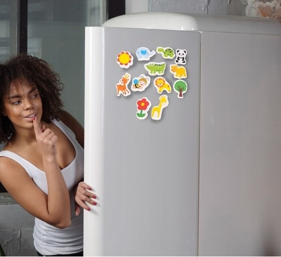 Set magneti pentru frigider cu animale, 12 piese multicolore [2]