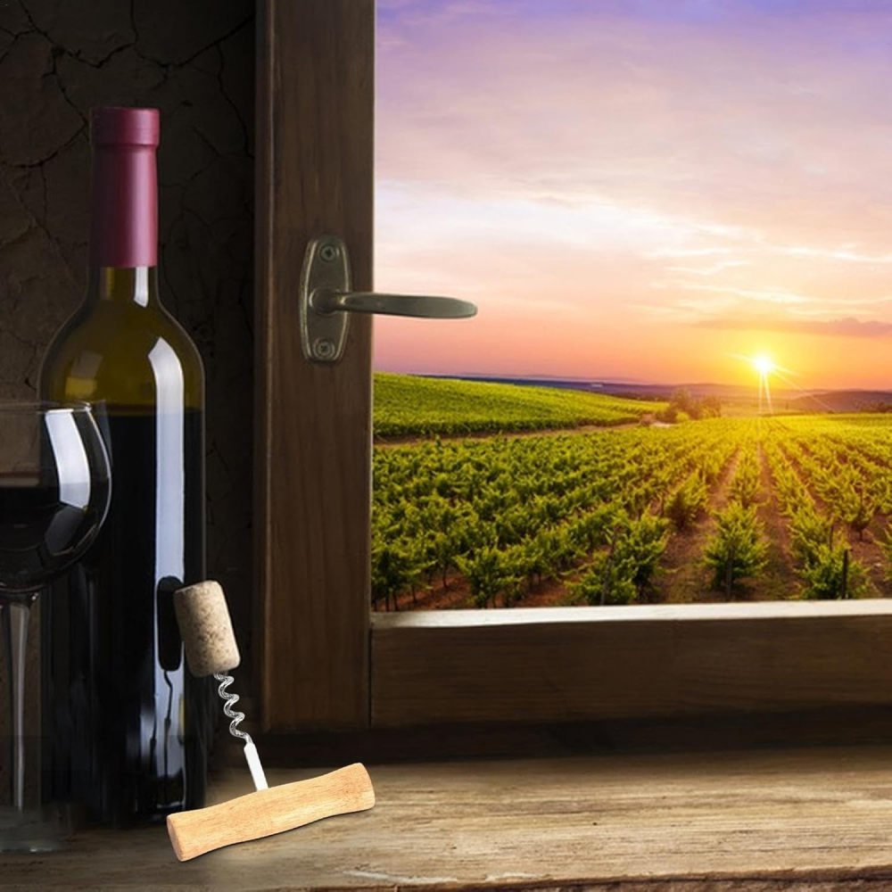 Set tirbuson tip T 9 cm, desfacator sticle, spirala inox, dop vin cu silicon reutilizabil, argintiu [8]