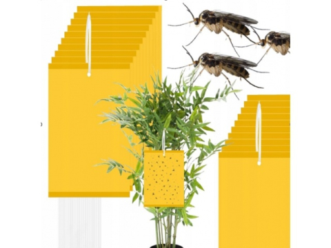 Set 20 capcane pentru insecte, muste, tantari, protectie plante, autoadezive, fata-verso, 10 x 15 cm, galben [14]