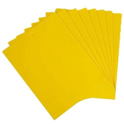 CASA & GRADINA - Set 20 capcane pentru insecte, muste, tantari, protectie plante, autoadezive, fata-verso, 10 x 15 cm, galben