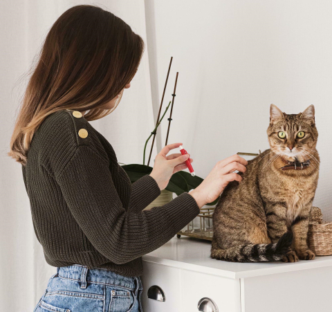 Penseta pentru extragerea capuselor, 9 x 1 cm, plastic, usor de utilizat, ideala pentru caini si pisici, rosu [7]