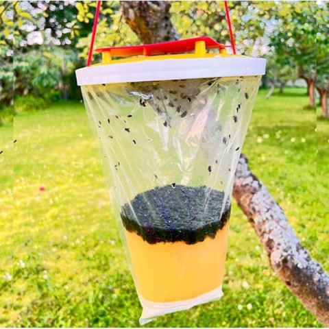 Capcana pentru insecte, muste, tantari, ecologica, non-toxica, plastic, momeala inclusa, pentru gradina, 30 x 20 cm [2]