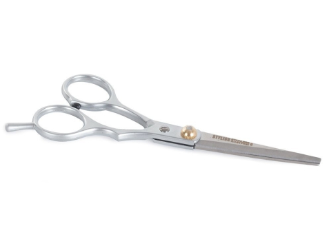 Foarfeca de tuns pentru coafura si frizerie, otel inoxidabil, 15 cm, design ergonomic, surub reglabil, lame 5.6 cm, ideala pentru incepatori, argintiu cu detalii aurii [10]