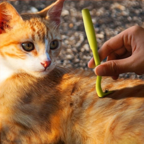 Kit pentru indepartarea capuselor, 7 piese, carlige, pensete, lupa, pieptene, carcasa depozitare [2]