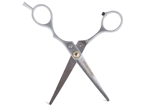 Foarfeca de tuns pentru coafura si frizerie, otel inoxidabil, 15 cm, design ergonomic, surub reglabil, lame 5.6 cm, ideala pentru incepatori, argintiu cu detalii aurii [12]