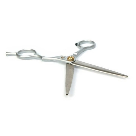 Foarfeca de tuns pentru coafura si frizerie, otel inoxidabil, 15 cm, design ergonomic, surub reglabil, lame 5.6 cm, ideala pentru incepatori, argintiu cu detalii aurii [5]