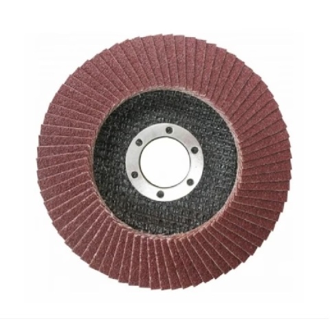 CASA & GRADINA - Disc lamelar pentru slefuit, granulatie P80, 125 x 22.2 mm