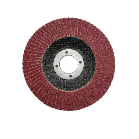 Disc lamelar pentru slefuit, granulatie P100, 125 x 22.2 mm [4]