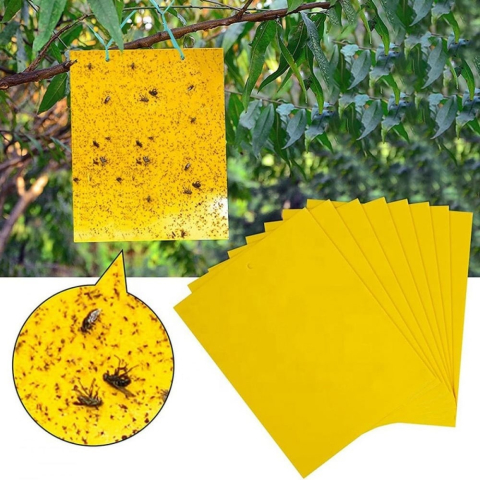 Set 20 capcane pentru insecte, muste, tantari, protectie plante, autoadezive, fata-verso, 10 x 15 cm, galben [9]