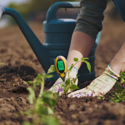 Acid meter tester de pH pentru sol horticole, masurare temperatura, umiditate si lumina, afisaj iluminat, sonda 20 cm, galben [3]