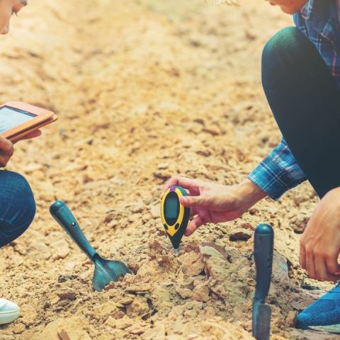 Acid meter tester de pH pentru sol horticole, masurare temperatura, umiditate si lumina, afisaj iluminat, sonda 20 cm, galben [9]