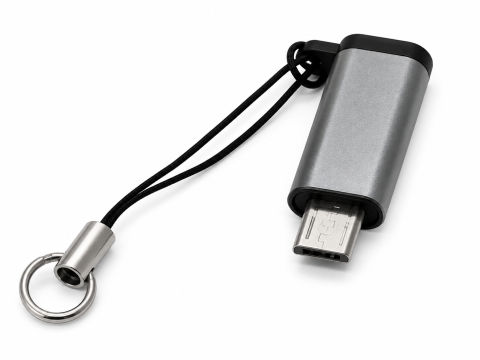 ELECTRONICE - Adaptor gri Lightning la USB-C, convertor compact cu carcasa metalica, snur si inel tip breloc, pentru conectarea dispozitivelor si accesoriilor compatibile