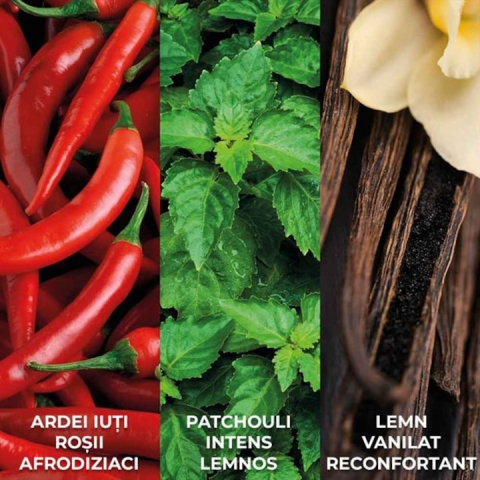 Apă de parfum Avon Attraction Instinct pentru bărbați 75 ml – parfum lemnos-condimentat cu note de piper negru, salvie și ambră caldă, dedicat bărbatului care trăiește după instinct [2]