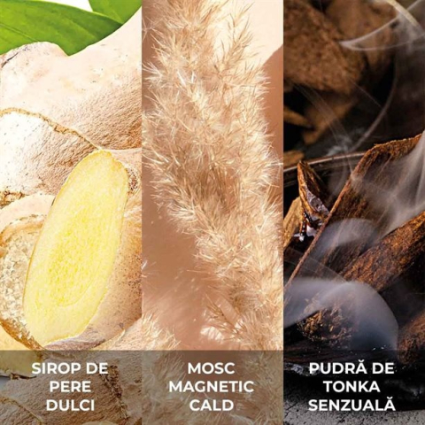 Apă de toaletă Avon Attraction pentru bărbați 75 ml – parfum lemnos-aromatic cu note de ghimbir, mosc și ambră, creat pentru bărbatul carismatic și sigur pe sine [3]