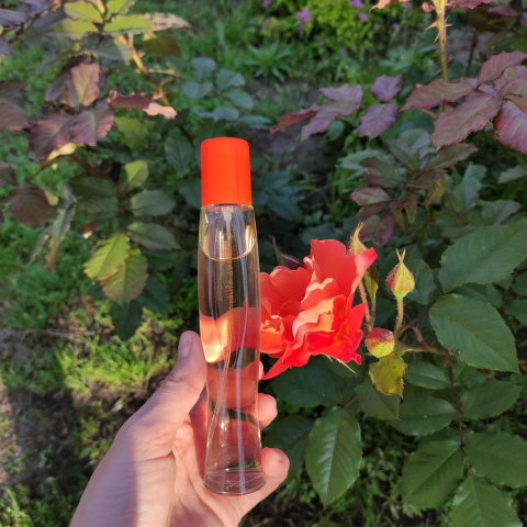 Apa de toaleta Avon Summer White Sunset 50 ml – floral, fructata, pentru femei, cu note dulci de mandarina, iasomie si mosc, perfecta pentru zilele calde de vara si serile relaxante [4]