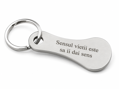 Breloc - Breloc metalic gravat "Sensul vietii este sa ii dai sens", argintiu, accesoriu elegant pentru chei, geanta, rucsac si portofel, cadou inspirational