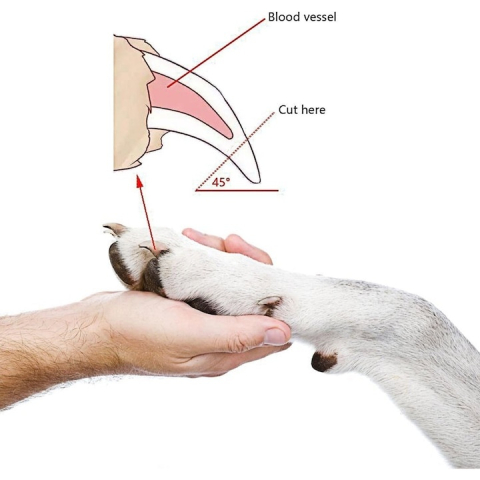 Cleste unghii pentru caini si pisici, cu pila inclusa, maner ergonomic antiderapant, deschidere 6–8 mm, 12 cm, negru-rosu [3]