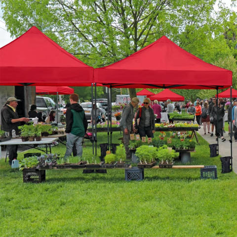 Cort tip Pavilion 3x3 m, pliabil tip armonica, structura metalica solida, prelata impermeabila, protectie UV, pentru gradina, terasa, curte si evenimente [3]