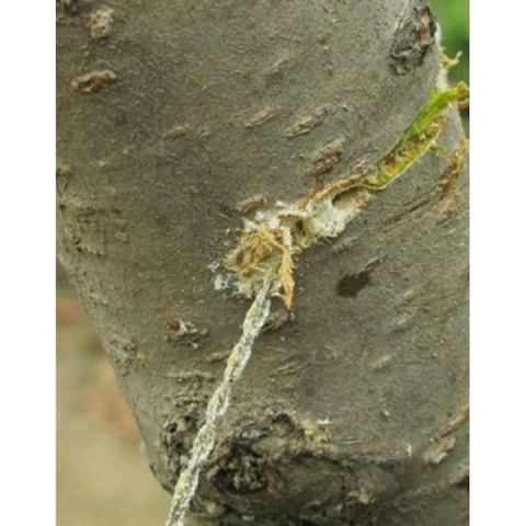 Fierastrau portabil din sarma otel pentru camping si supravietuire, lungime 70 cm, manere ergonomice plastic [3]