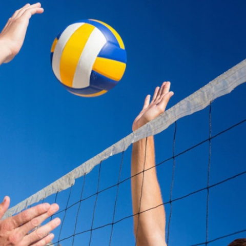 Fileu plasa pentru volei, badminton si tenis, portabil, geanta cu fermoar si maner pentru transport [6]