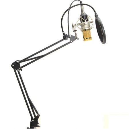 Microfoane - Microfon Profesional de Studio cu condensator, model BM800 cu stand inclus