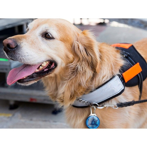 Pandantiv LED pentru căței și pisici, cu 3 moduri de iluminare, carabinieră metalică, albastru – vizibilitate crescută la plimbările nocturne [6]