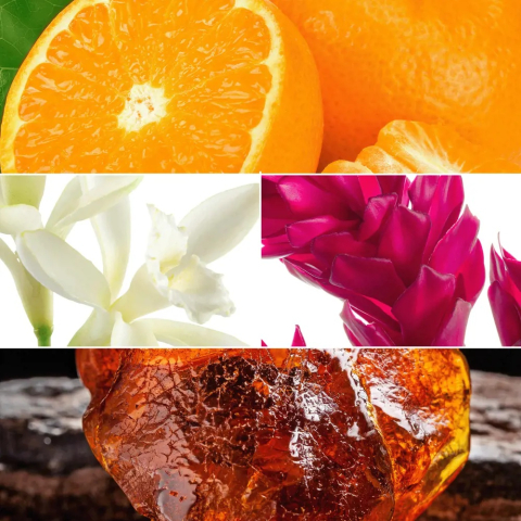 Parfum All or Nothing Amplified Oriflame 50 ml, parfum floral ambrat puternic feminin cu tuberoza si ghimbir rosu [2]