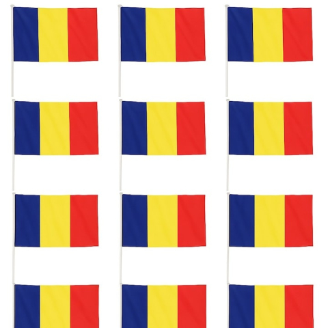 Diverse uz casnic - Set 12 steaguri de mana Romania 20 x 30 cm, tricolor, poliester, cu suport, pentru evenimente si serbari