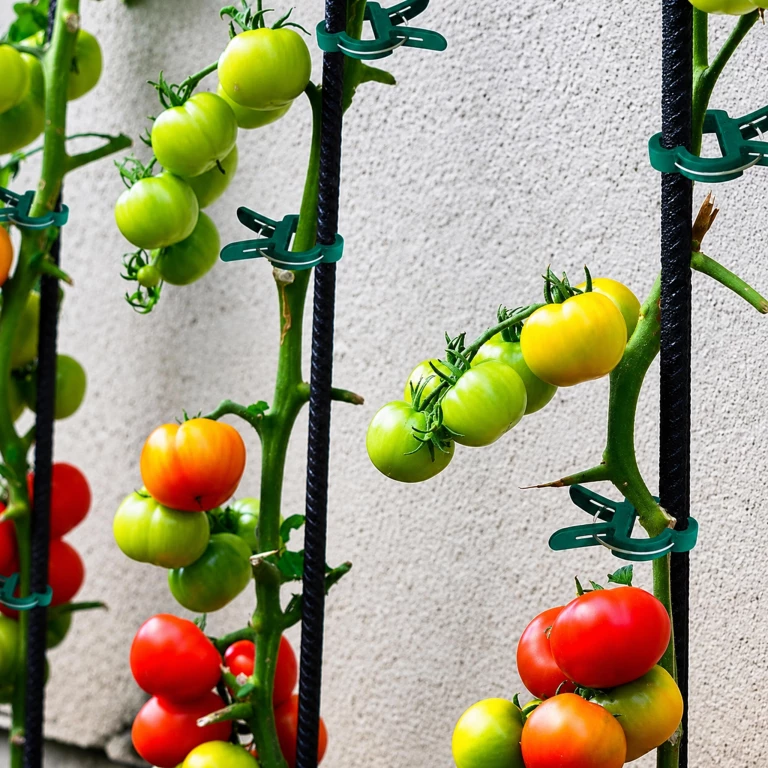 Set 20 cleme verzi 4,5 x 3 cm pentru fixarea plantelor, clipsuri reutilizabile cu arc metalic [3]