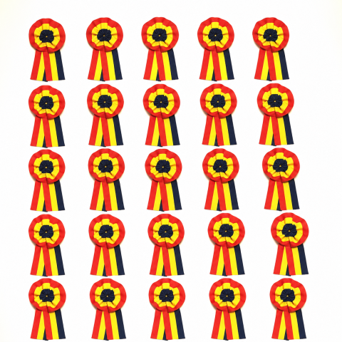 Sanuri incaltaminte - Set 25 insigne textile Tricolor Romania, cocarde cu drapel romanesc, material textil, sistem de prindere, 5,3 x 3 cm fiecare, multicolor