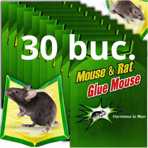 CASA & GRADINA - Set 30 capcane adezive pentru soareci si sobolani, tip carte, carton cu lipici non toxic 32g, 23.5 x 16.5 cm, verde