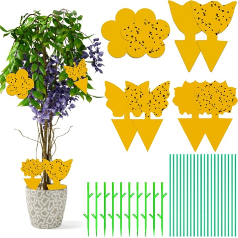 Set capcana lipicioasa pentru insecte, diverse modele, 20 bucati, impotriva mustelor, tantarilor [1]