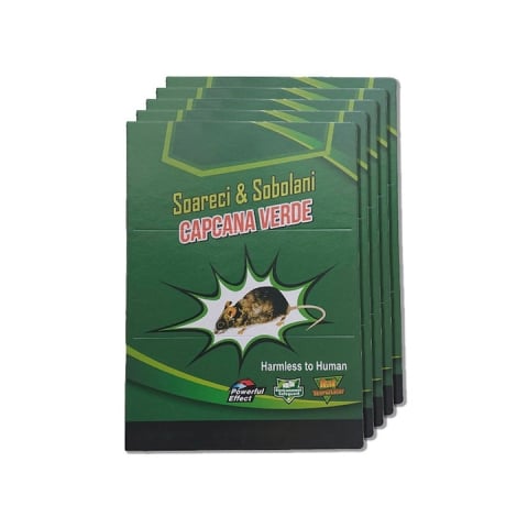 CASA & GRADINA - Set capcane cartonate cu lipici pentru soareci si sobolani, reutilizabile, non-toxice, fara miros, eficiente pentru interior si exterior