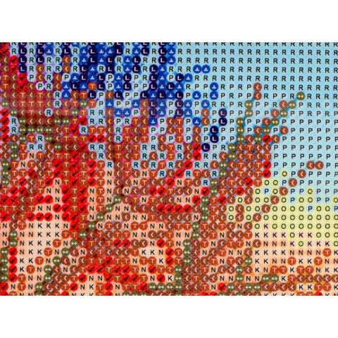 Set de broderie cu diamante 5D, tip mozaic, 40 x 30 cm, model papadie, accesorii incluse [8]