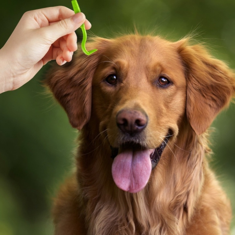 Set indepartare capuse 8 piese, carlige, pensete, lupa, pieptene, etui, pentru oameni si animale [9]