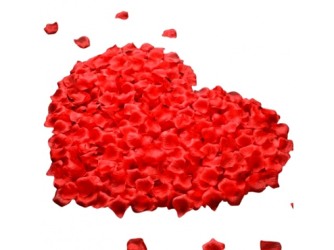 Set petale artificiale de trandafir, material textil, rosu, 100 bucati [8]