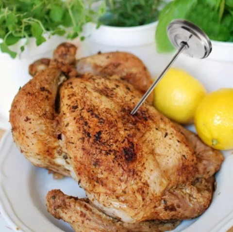 Termometru pentru gratar, afumatoare si preparate din carne, cu sonda metalica lunga si afisaj analogic [4]