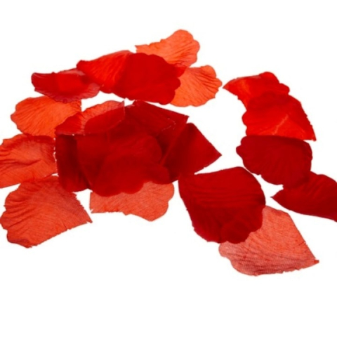 Trandafir criogenat in cupola de sticla cu lumini LED, cadou romantic pentru ocazii speciale, 22 cm, iluminare alb cald [3]