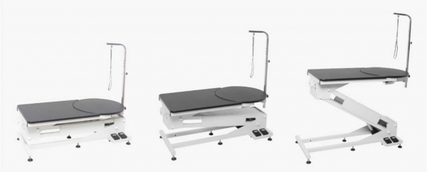 Masa electrica cosmetica, FT-898 [3]