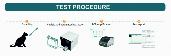 Analizor Real-Time PCR Cantitativ - Testare Timp Real Cu Reactivi Liofilizati [2]
