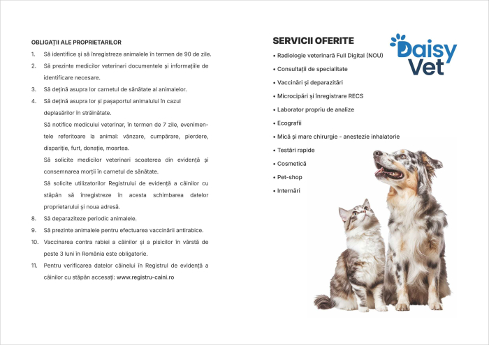 Carnete sanatate pisici, set 100 bucati, PERSONALIZATE [2]