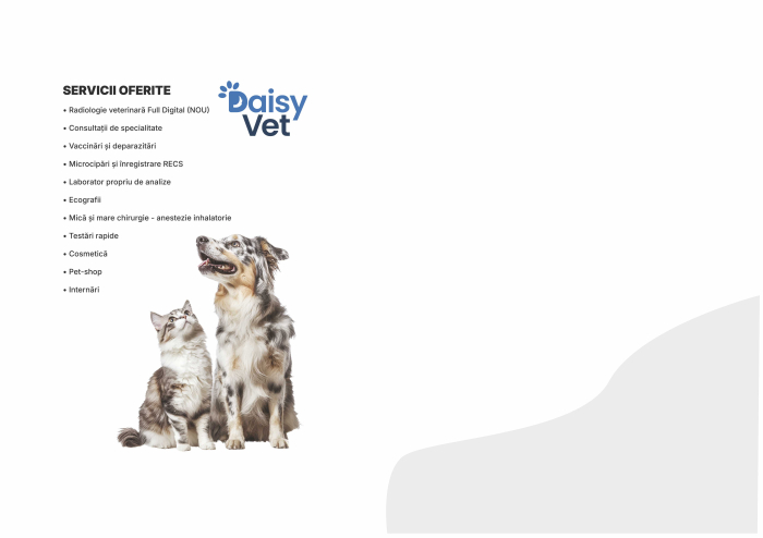 Mape personalizate, pachet 50 de bucati [2]