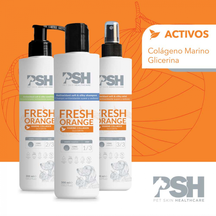 PACHET 3 PASI, PSH, FRESH ORANGE-PENTRU BLANITA MATASOASA [3]