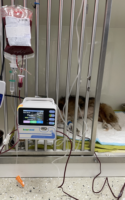 Pompa de infuzie-infuzomat cu incalzire DSY-T100VET [2]