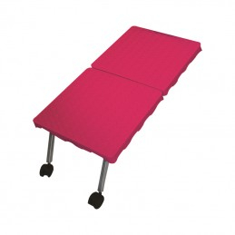 Rampa de acces pentru cazile EVOLUTECH [4]