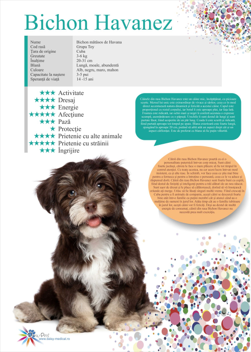 SET 13 POSTERE rase caini 32 x 45 cm [2]