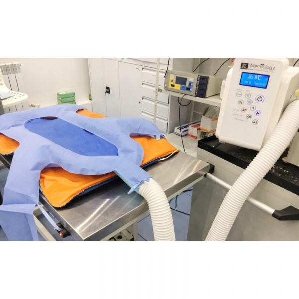 Sistem de incalzire cu aer cald pentru animale WMS1501 [3]