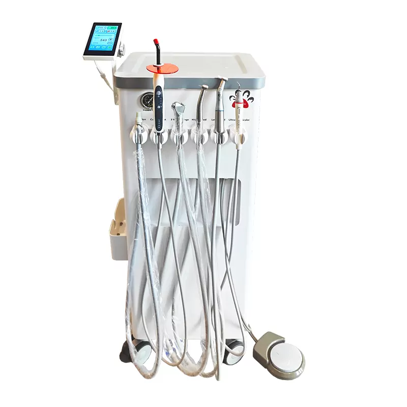 Unit Dentar Veterinar DTS-P302 [1]