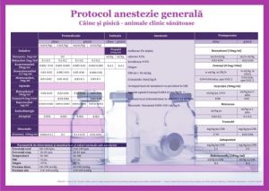 Afișe / planșe - Plansa Protocol anestezie generala 32 X 45 cm